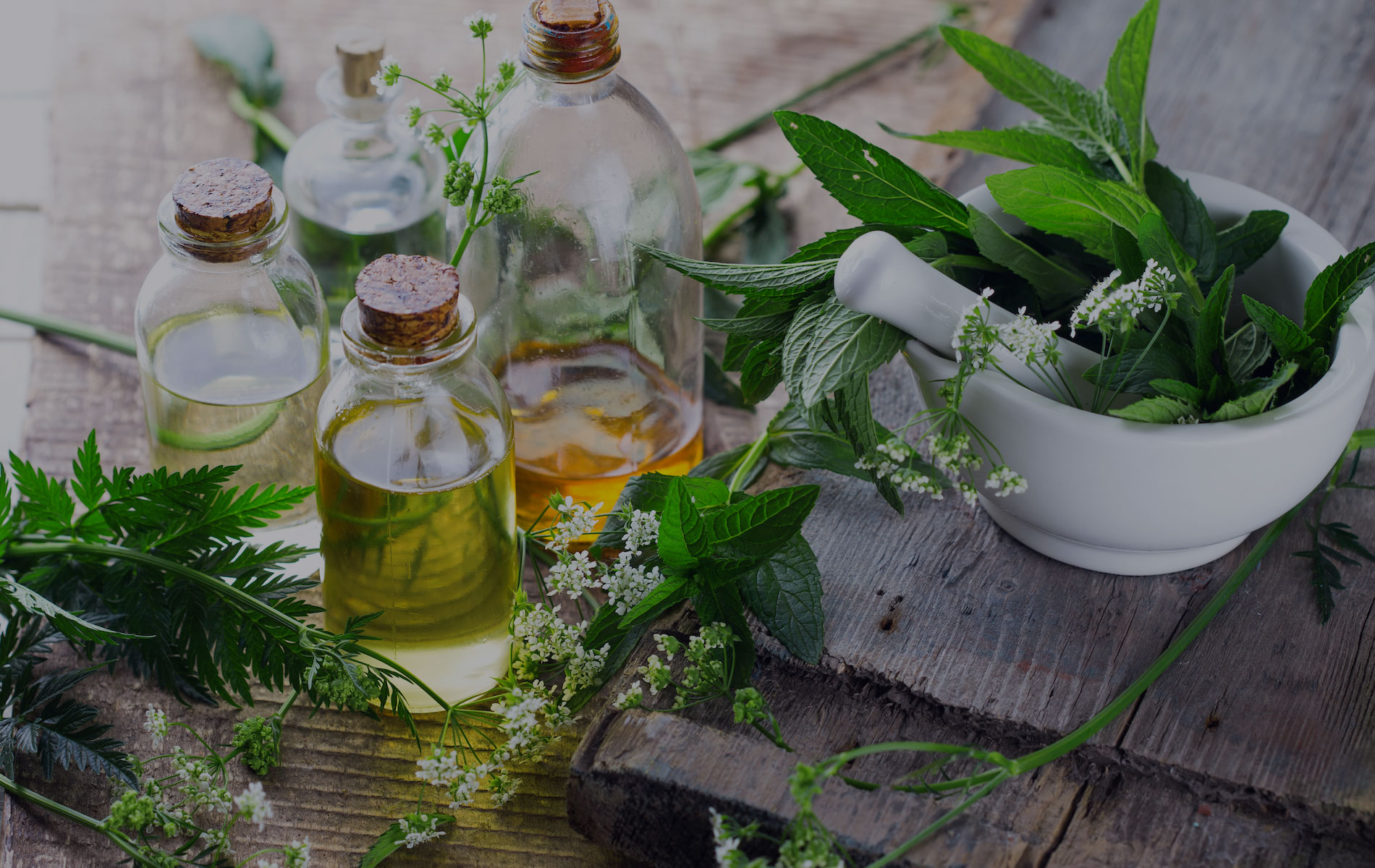 slider-produits-naturels-bio-pharmacie-de-la-prairie-belleu-soissons